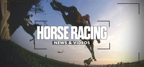 6 horse challenge|6 Horses Challenge: Customer wins £10,000 on Royal Ascot races.